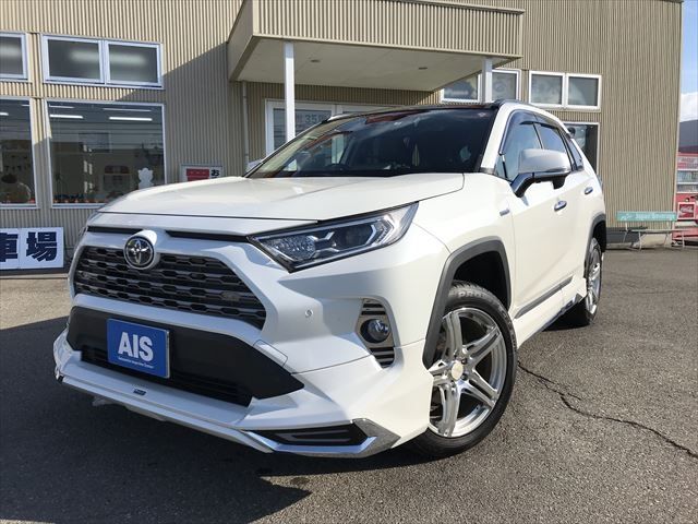 Toyota RAV4 2019-06 194650-0