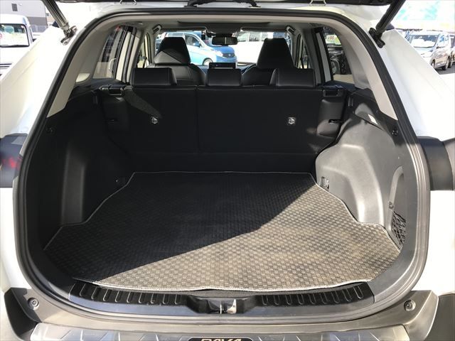 Toyota RAV4 2019-06 194650-5