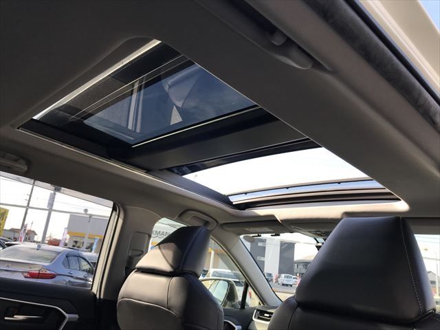 Toyota RAV4 2019-06 194650-10