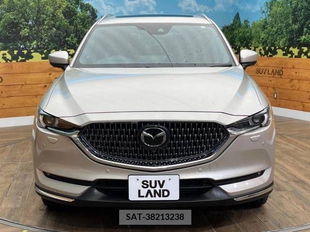 Mazda CX-8 2021-02 219148-15