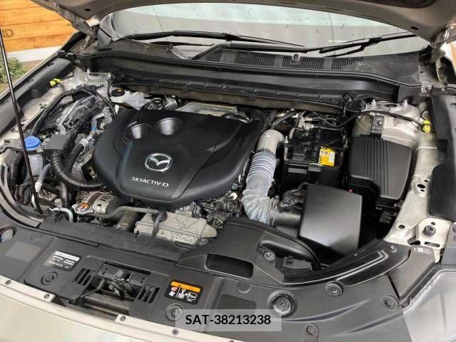 Mazda CX-8 2021-02 219148-19