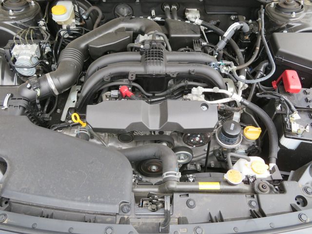 Subaru OUTBACK 2019-06 2171-17