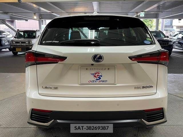 Lexus NX 2018-01 334393-18
