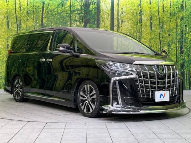 Toyota ALPHARD 2019-05 181480-3