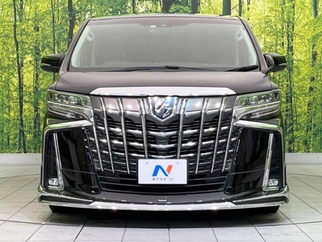 Toyota ALPHARD 2019-05 181480-2