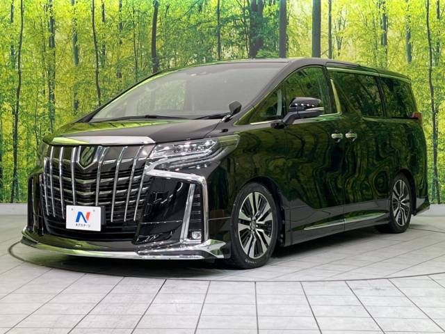 Toyota ALPHARD 2019-05 181480-1