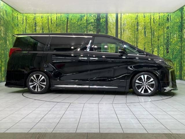 Toyota ALPHARD 2019-05 181480-4