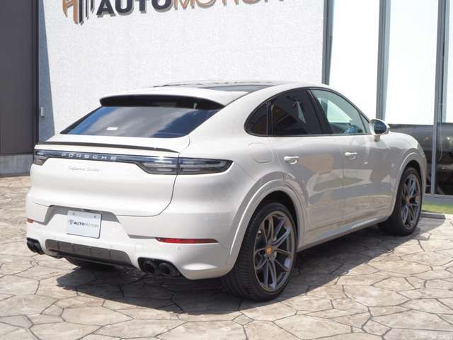 Porsche CAYENNE 2020-02 13898-7
