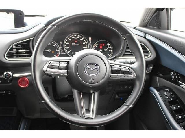 Mazda CX-30 2020-02 192943-15