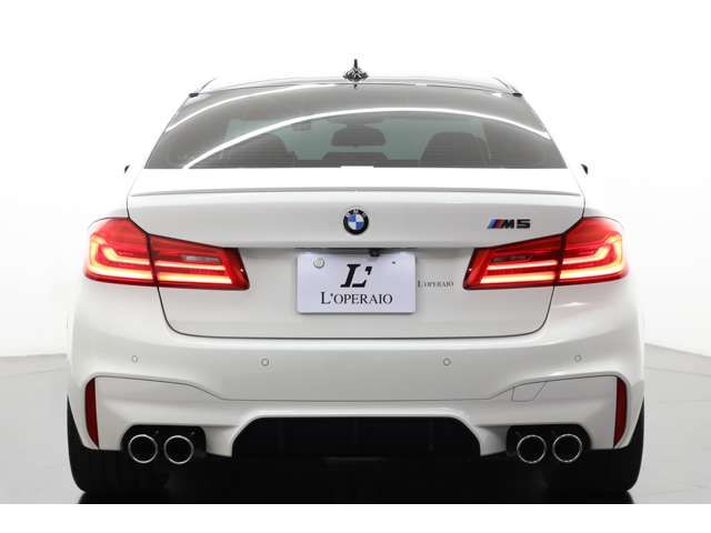 Bmw M5 2018-06 18784-6