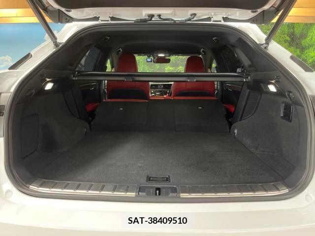 Lexus RX 2021-04 275823-10