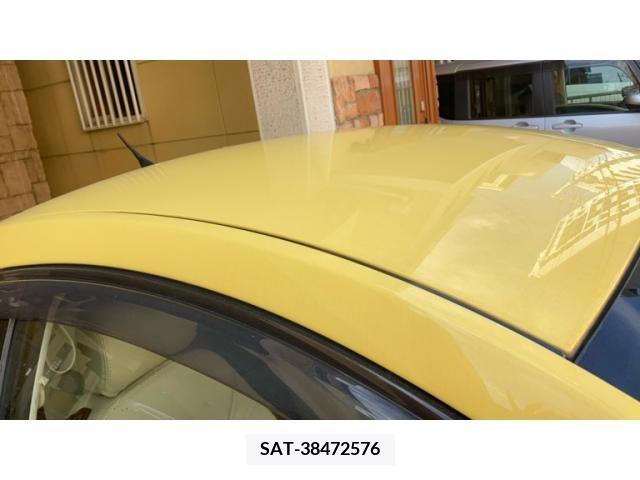 VolksWagen BEETLE 2006-11 395061-21