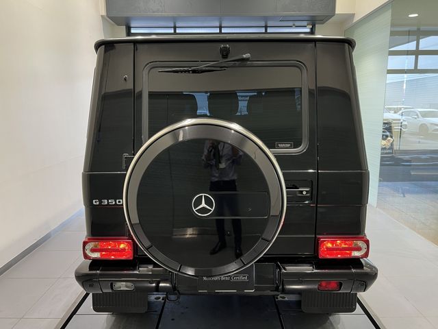 Mercedes Benz G-CLASS 2016-08 10758-19