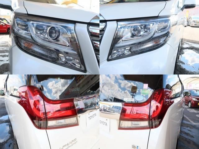 Toyota ALPHARD HYBRID 2016-11 13196-3