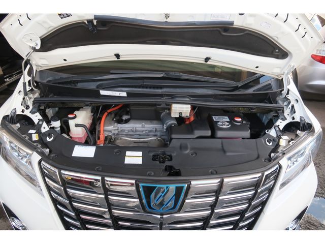 Toyota ALPHARD HYBRID 2016-11 13196-24