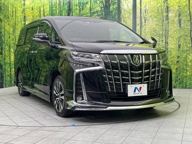 Toyota ALPHARD 2022-05 193413-17