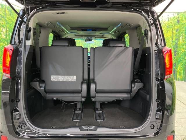 Toyota ALPHARD 2022-05 193413-11
