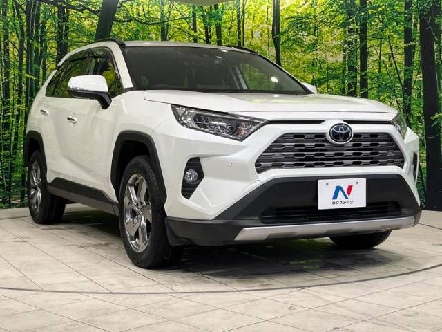 Toyota RAV4 2019-07 11887-16