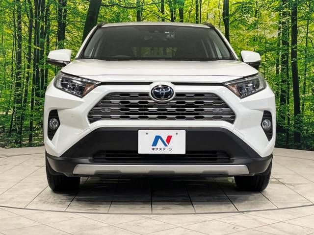Toyota RAV4 2019-07 11887-14