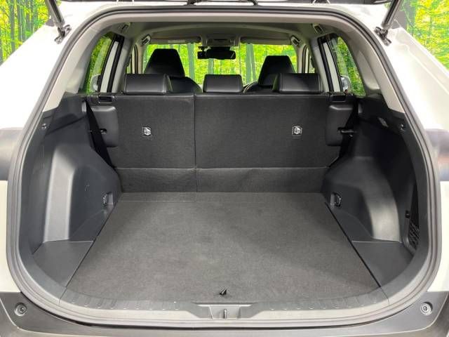 Toyota RAV4 2019-07 11887-10