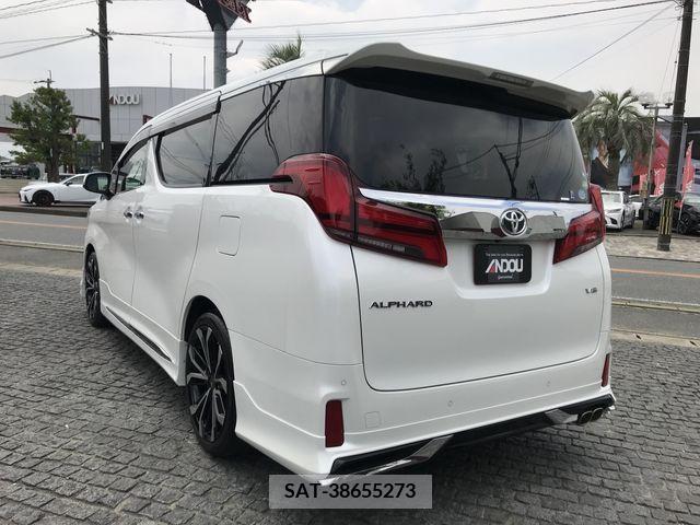Toyota ALPHARD 2019-04 259202-2