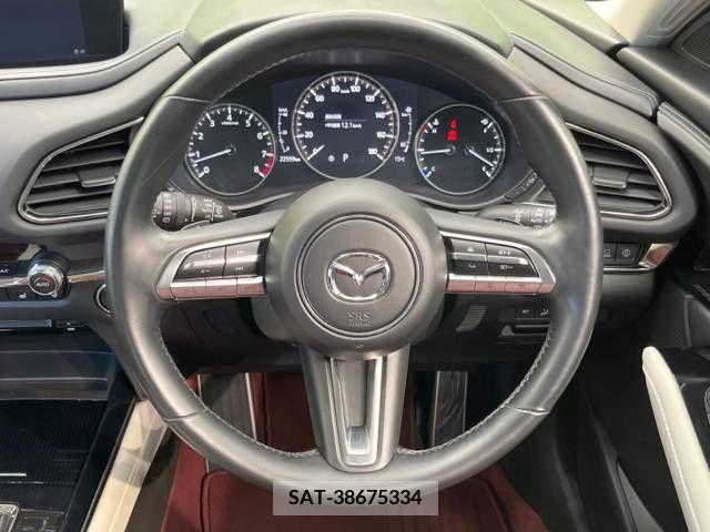 Mazda CX-30 2021-03 295575-11