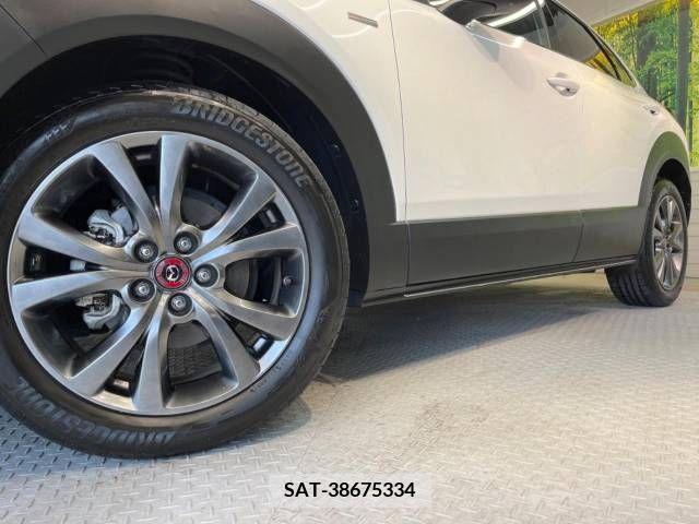 Mazda CX-30 2021-03 295575-13