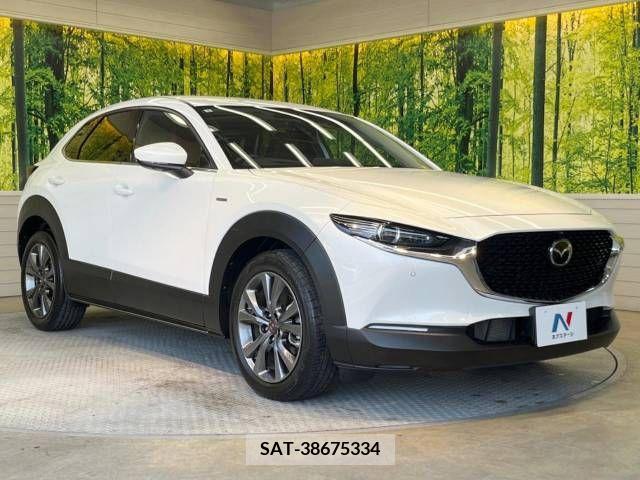 Mazda CX-30 2021-03 295575-16