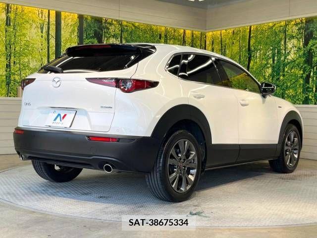 Mazda CX-30 2021-03 295575-17
