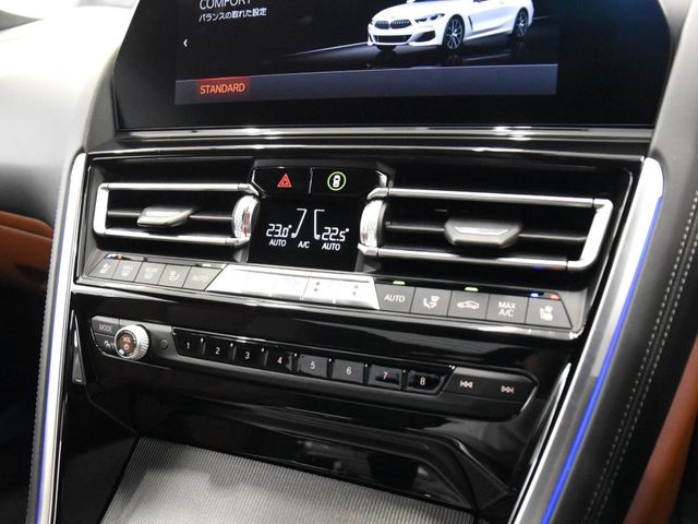 Bmw 8 SERIES 2021-03 194351-8