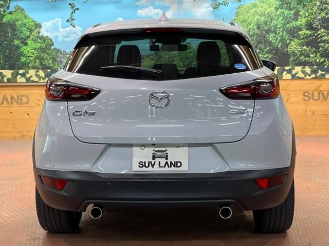 Mazda CX-3 2019-10 194254-17