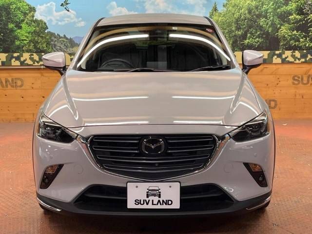 Mazda CX-3 2019-10 194254-16