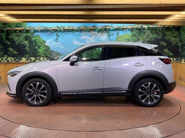 Mazda CX-3 2019-10 194254-18