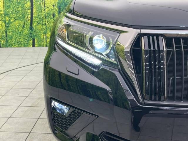 Toyota PRADO 2022-05 195876-12