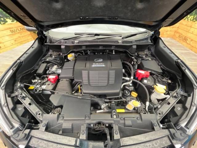 Subaru FORESTER 2019-08 196418-18
