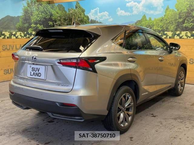 Lexus NX 2015-07 275699-17