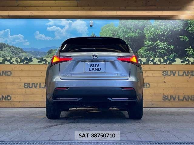 Lexus NX 2015-07 275699-15
