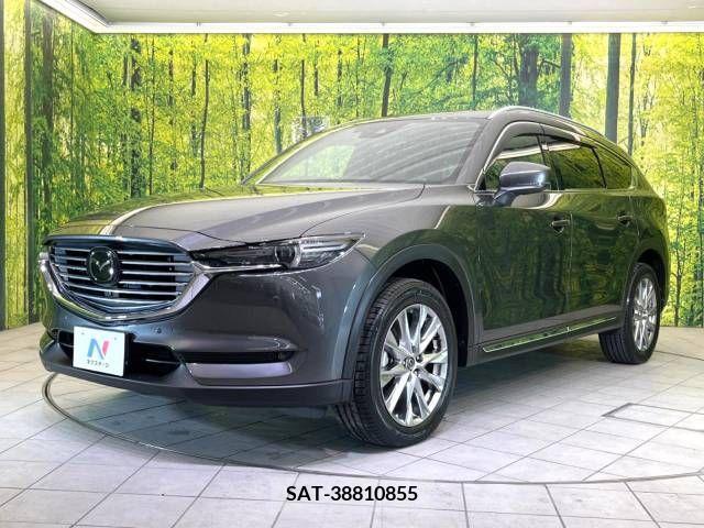 Mazda CX-8 2018-07 210003-16