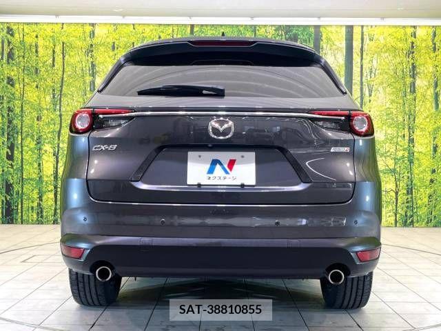 Mazda CX-8 2018-07 210003-15