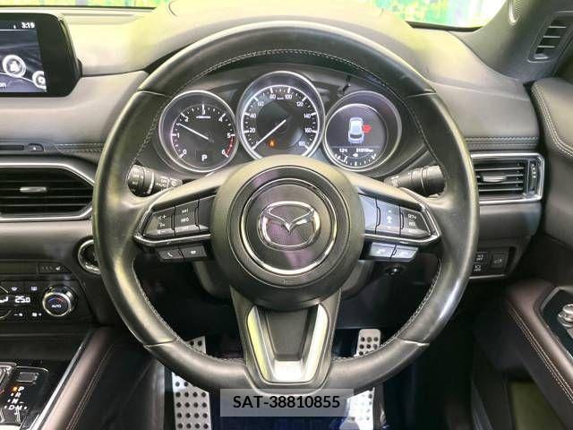 Mazda CX-8 2018-07 210003-13