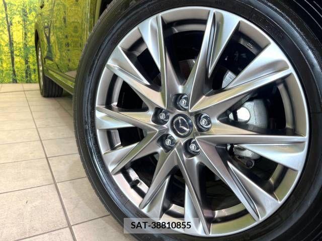 Mazda CX-8 2018-07 210003-12