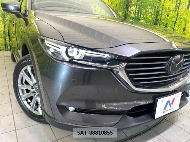 Mazda CX-8 2018-07 210003-11