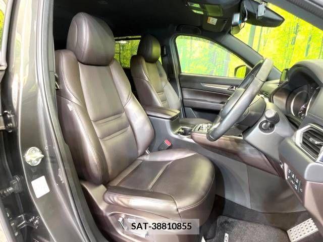 Mazda CX-8 2018-07 210003-7