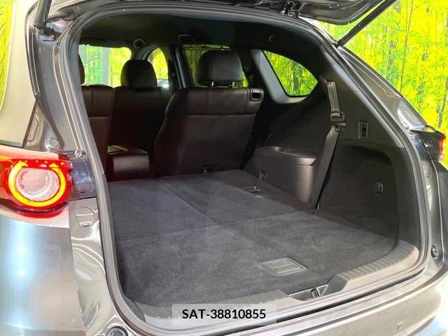 Mazda CX-8 2018-07 210003-10
