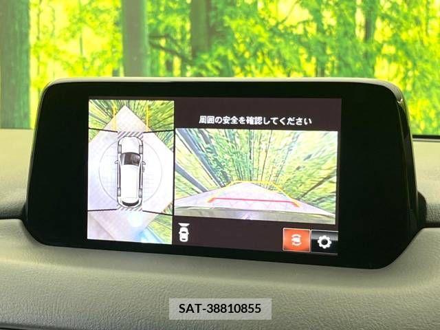 Mazda CX-8 2018-07 210003-4