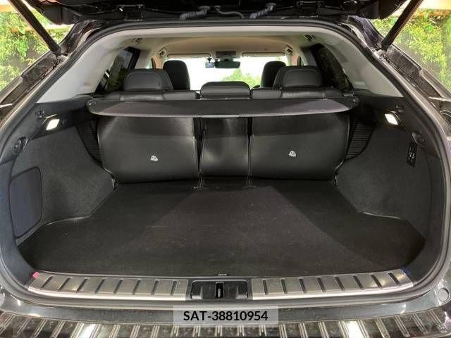 Lexus RX 2021-06 219639-13