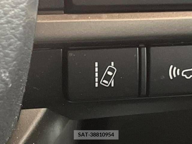 Lexus RX 2021-06 219639-5