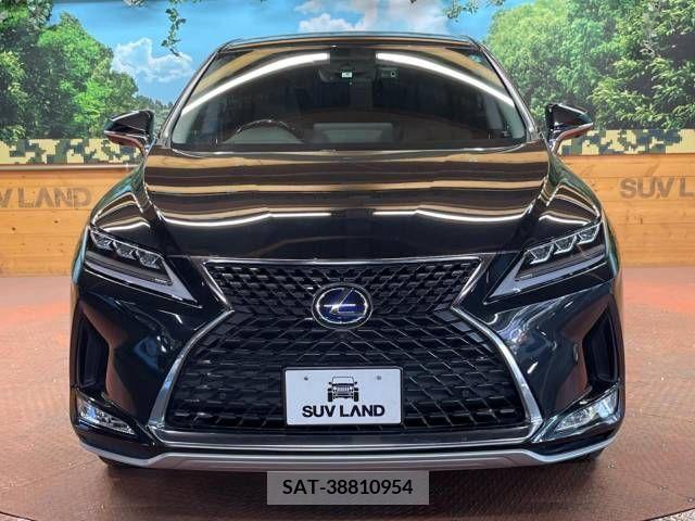 Lexus RX 2021-06 219639-16