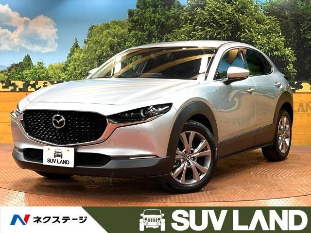 Mazda CX-30 2020-03 19367-0