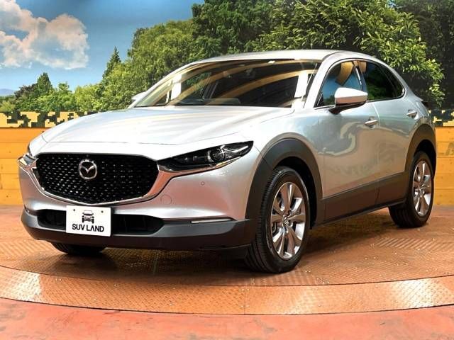 Mazda CX-30 2020-03 19367-16
